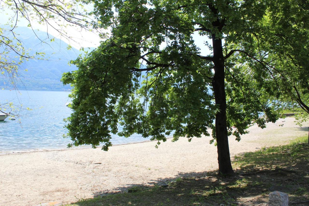 Appartamento Con Terrazza A Due Minuti Dal Lago Minusio Kültér fotó